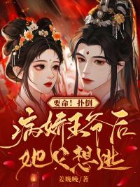 謝婉婉夜九宸封面