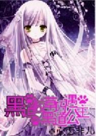 消防意外小說全文免費閱讀封面