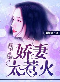 傅幼笙殷墨小說封面