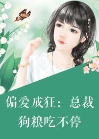 少夫人不委屈的小說封面