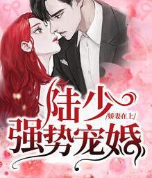 夏顏兮陸霆琛封面