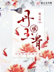 云輕顏慕南深小說封面