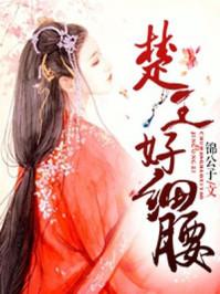 楚王好細(xì)腰封面