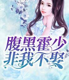 腹黑霍少非我不娶封面