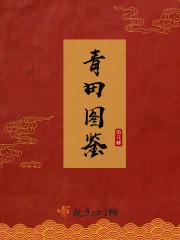 重生歸來嫁大佬封面