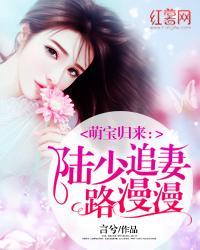 重生后她被殘疾大佬寵野了葉晚檸傅司驍封面