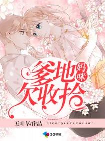 聶婉柔李承決小說封面