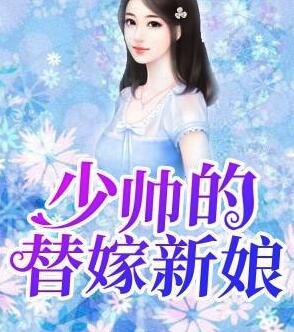 少帥的替嫁新娘封面