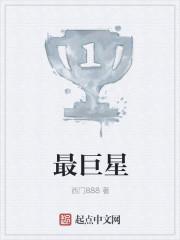 燦爛啟明星小說免費閱讀封面