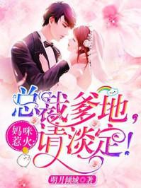 神瞳小醫(yī)圣封面