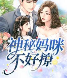 神秘媽咪不好撩封面