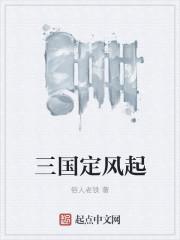 三國定風起封面