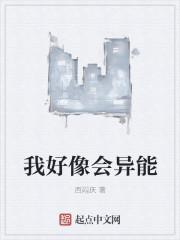 遲宸溫笛筆趣閣封面