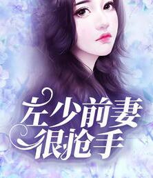 許愿左占全文免費(fèi)閱讀封面