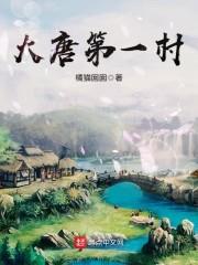 大唐第一村封面