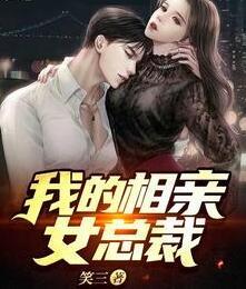 我的相親女總裁小說封面
