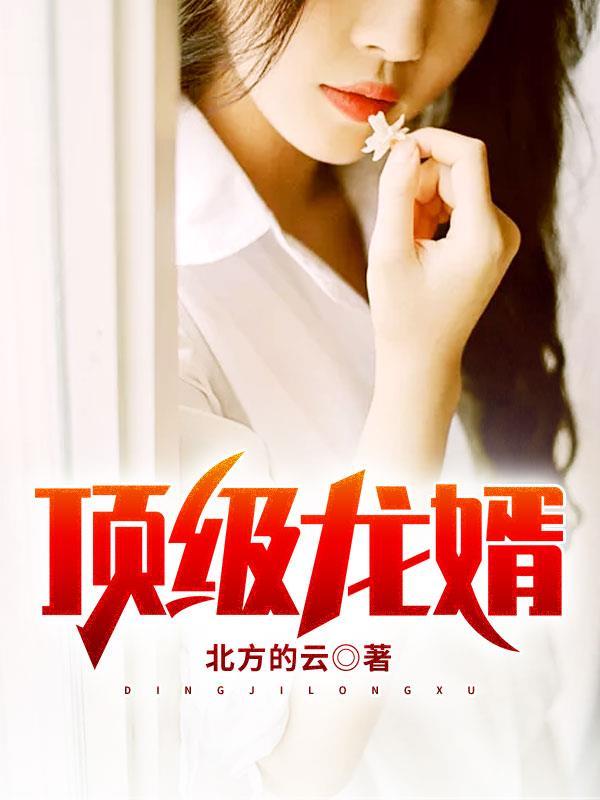 頂級龍婿封面