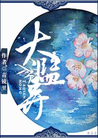 岑禾顏洛宸小說封面