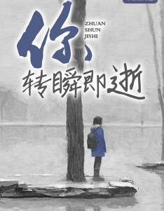 你轉(zhuǎn)瞬即逝封面