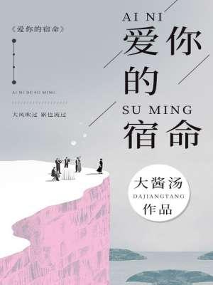 顏洛宸岑禾小說(shuō)全文閱讀封面