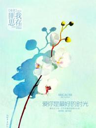 寧晴霍辭遠小說在線閱讀封面