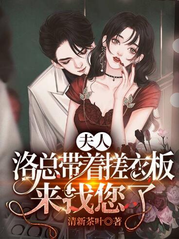 夫人洛總帶著搓衣板來找您了宋詩(shī)韻洛銘川封面