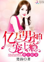 阮青瑤君阡宸封面