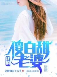 陳平江婉小說封面