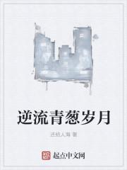 美人試探小說免費閱讀封面