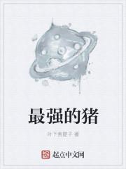 宋蕪許景程小說名字封面