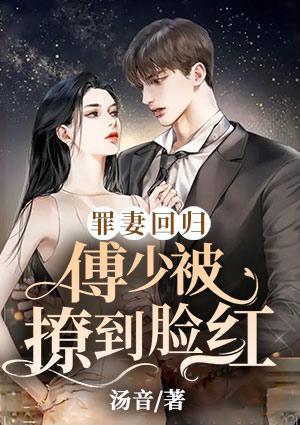 林子夕傅寒川封面