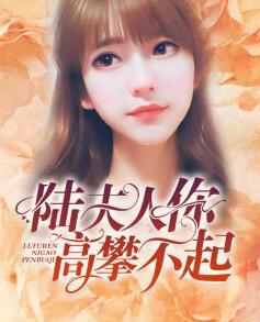 離婚后,夫人你高攀不起封面