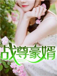 戰(zhàn)尊豪婿封面