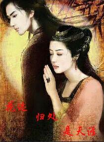 霍醫(yī)生，再見了封面