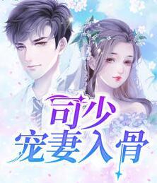 年尋夏司瑾丞封面