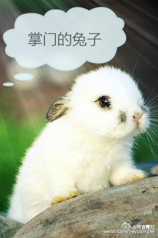 重生后，腹黑太子在我懷里裝可憐封面