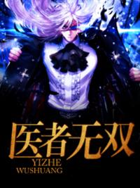 醫(yī)者無雙封面