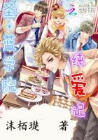 大明皇太子封面