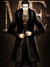 近衛(wèi)高手封面