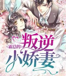 霸總的叛逆小嬌妻封面