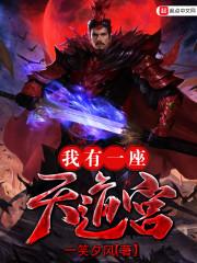 武道邪醫(yī)封面