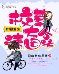 宴音霍聽聲小說封面