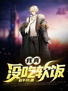 我真沒(méi)吃軟飯封面