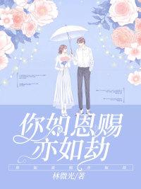 你如恩賜亦如劫封面