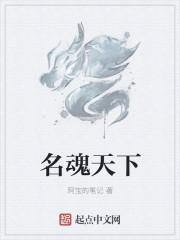 逍遙皇太子小說(shuō)封面