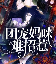 洛南緋傅晏城封面