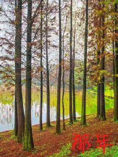 我靠賣盒飯火爆全網(wǎng)封面