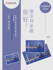 禁欲大佬的閃婚妻封面