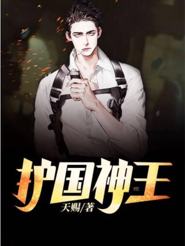 護國神王封面