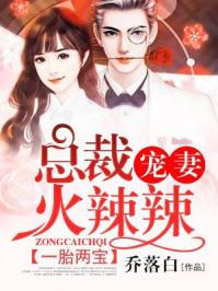 嫁給國民男神后林姝皇甫燁封面